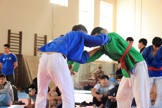 The "MINISTER'S CUP" wrestling tournament among the students of the institute has been started